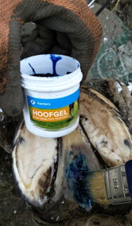 hoofgel3