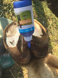 hoofclear