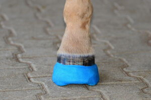cast