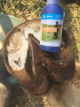 HoofClear 1000 ml