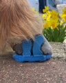 Duplo Classic Pony