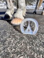 EasyShoe 3D