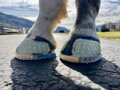 EasyShoe  One Glue