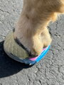 EasyShoe  One Glue