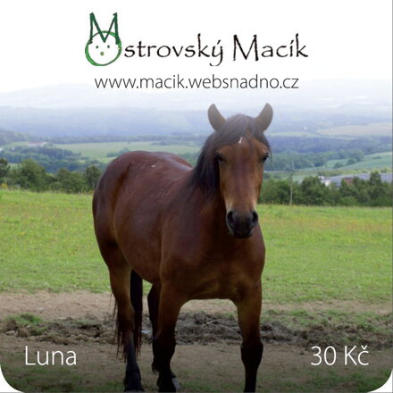 MAGNETKY Ostrovský Macík - Luna