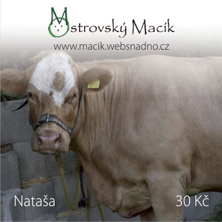 MAGNETKY Ostrovský Macík - Nataša