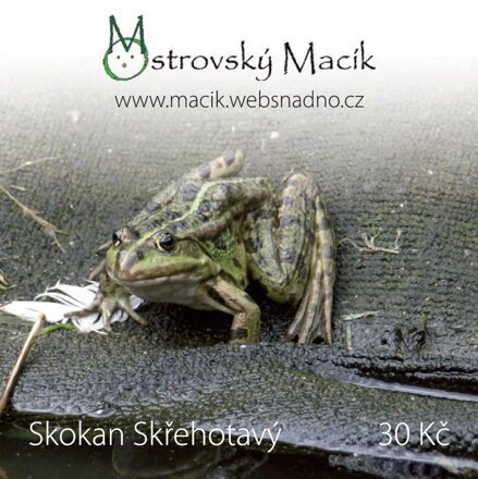 MAGNETKY Ostrovský Macík - skokan