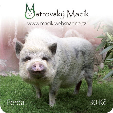 MAGNETKY Ostrovský Macík - Ferda