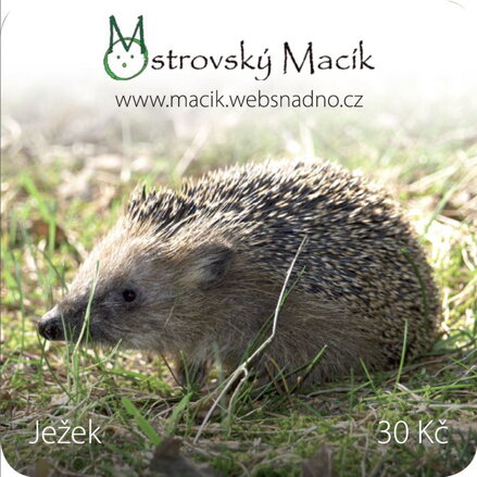MAGNETKY Ostrovský Macík - ježek