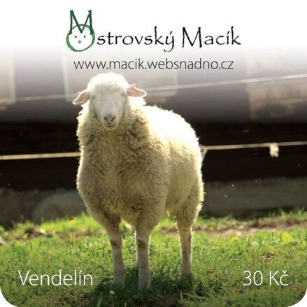 MAGNETKY Ostrovský Macík - Vendelín