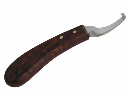 Wolf Busch AG 1 Short