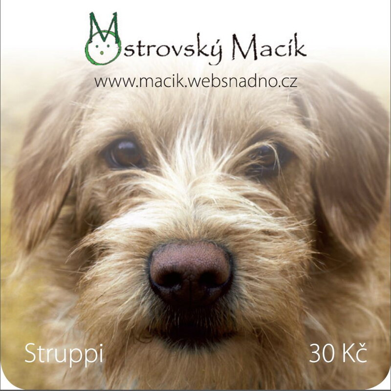 MAGNETKY Ostrovský Macík - Struppi