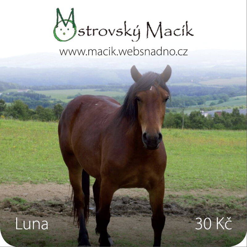 MAGNETKY Ostrovský Macík - Luna