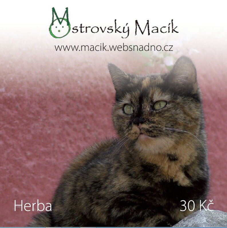 MAGNETKY Ostrovský Macík - Herba