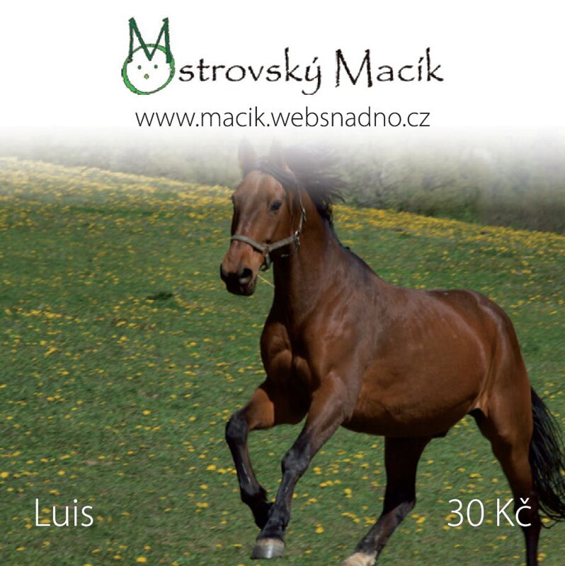 MAGNETKY Ostrovský Macík - Luis