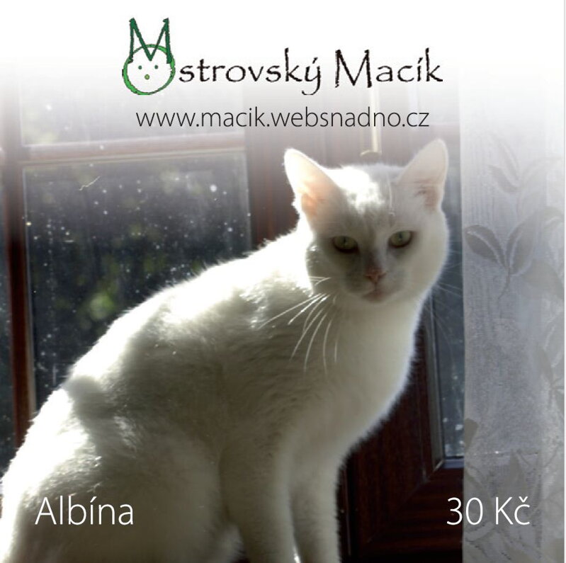 MAGNETKY Ostrovský Macík - Albína