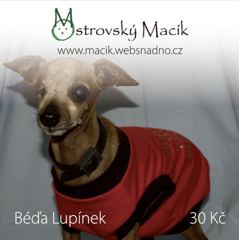 MAGNETKY Ostrovský Macík - Béďa Lupínek