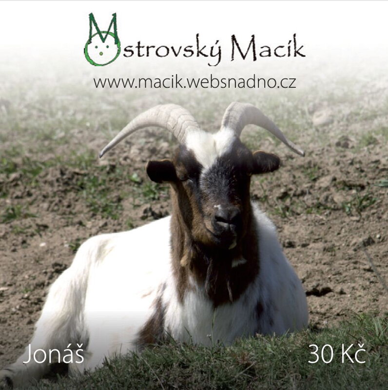 MAGNETKY Ostrovský Macík - Jonáš