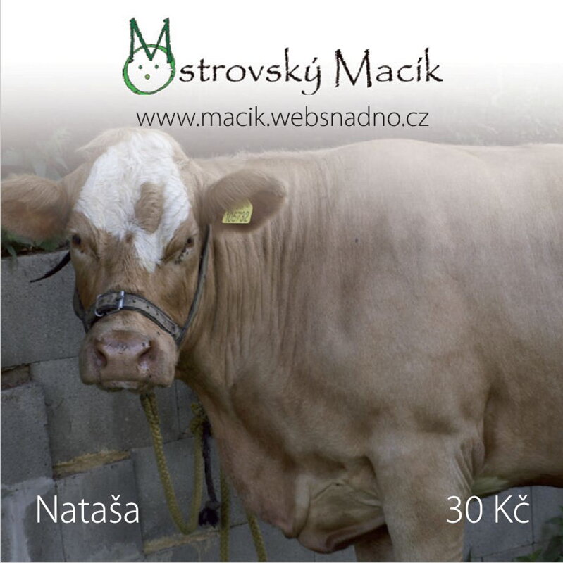 MAGNETKY Ostrovský Macík - Nataša